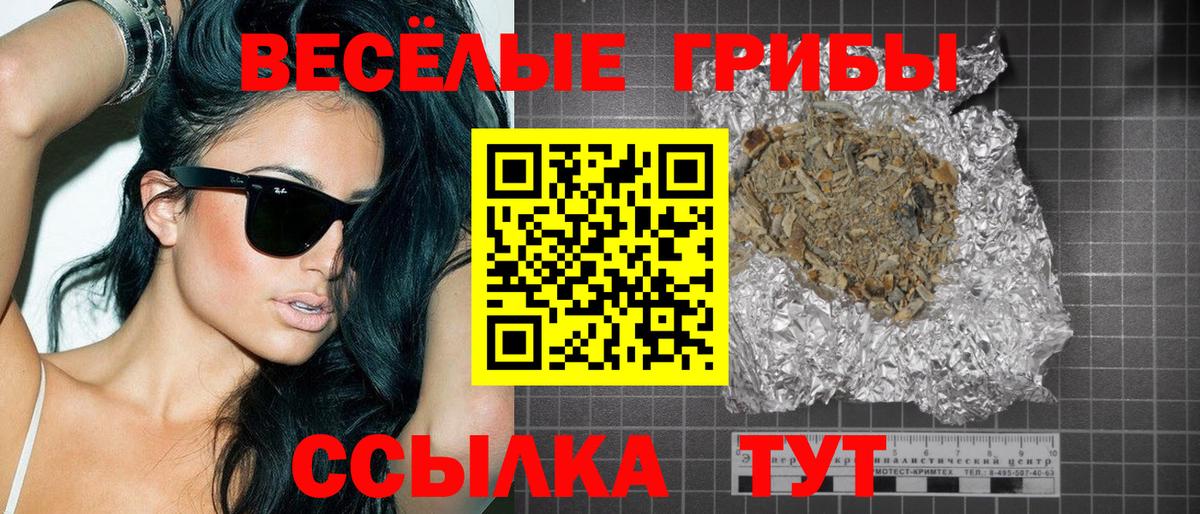 Псилоцибиновые грибы GOLDEN TEACHER Шелехов